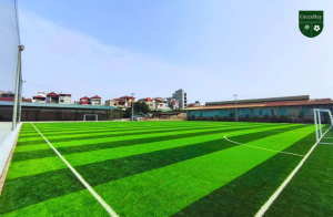 2 Sân bóng đá mặt cỏ nhân tạo cao cấp